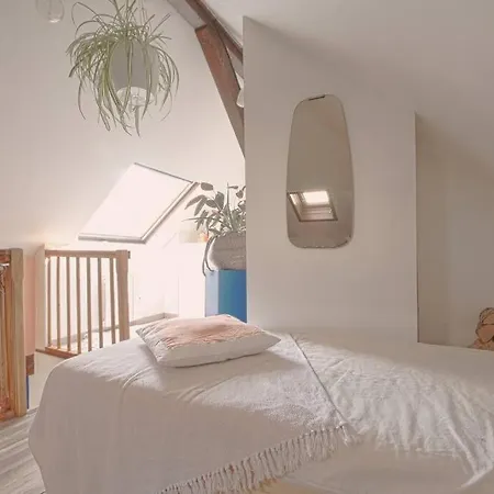 Apartment Two Bathrooms And Wc, Fireplace, Historical Center Annecy