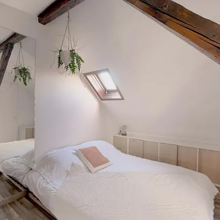Two Bathrooms And Wc, Fireplace, Historical Center *