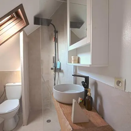 Apartment Two Bathrooms And Wc, Fireplace, Historical Center Annecy